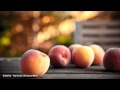 Solarity - Apricots (Original Mix)