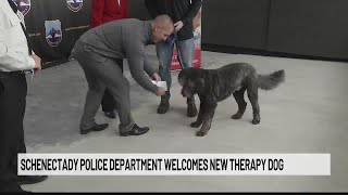 In Schenectady County: Schenectady Police welcomes new therapy dog