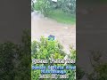 Container de Reciclaje aprovecha la inundación para escapar de su monótona vida