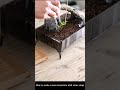 ロココ調ワーディアンケースで作る苔テラリウム