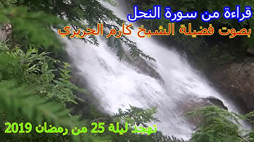 قراءة من سورة النحل لفضيلة الشيخ كارم الحريري - صوت جميل وقراءة نادرة