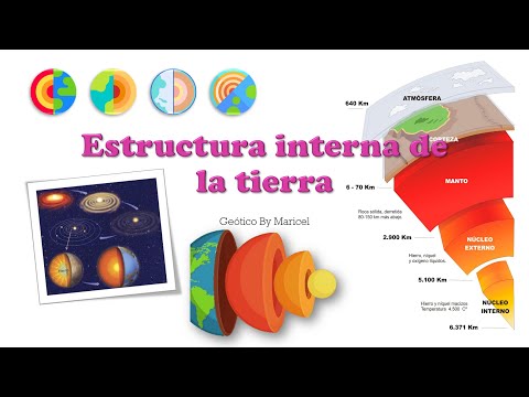 ¿Cómo es la