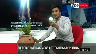 Inventor peruano logra energía eléctrica con fotosíntesis de las plantas