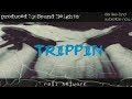 Rell artwork  trippin explicit produced by sound heightz