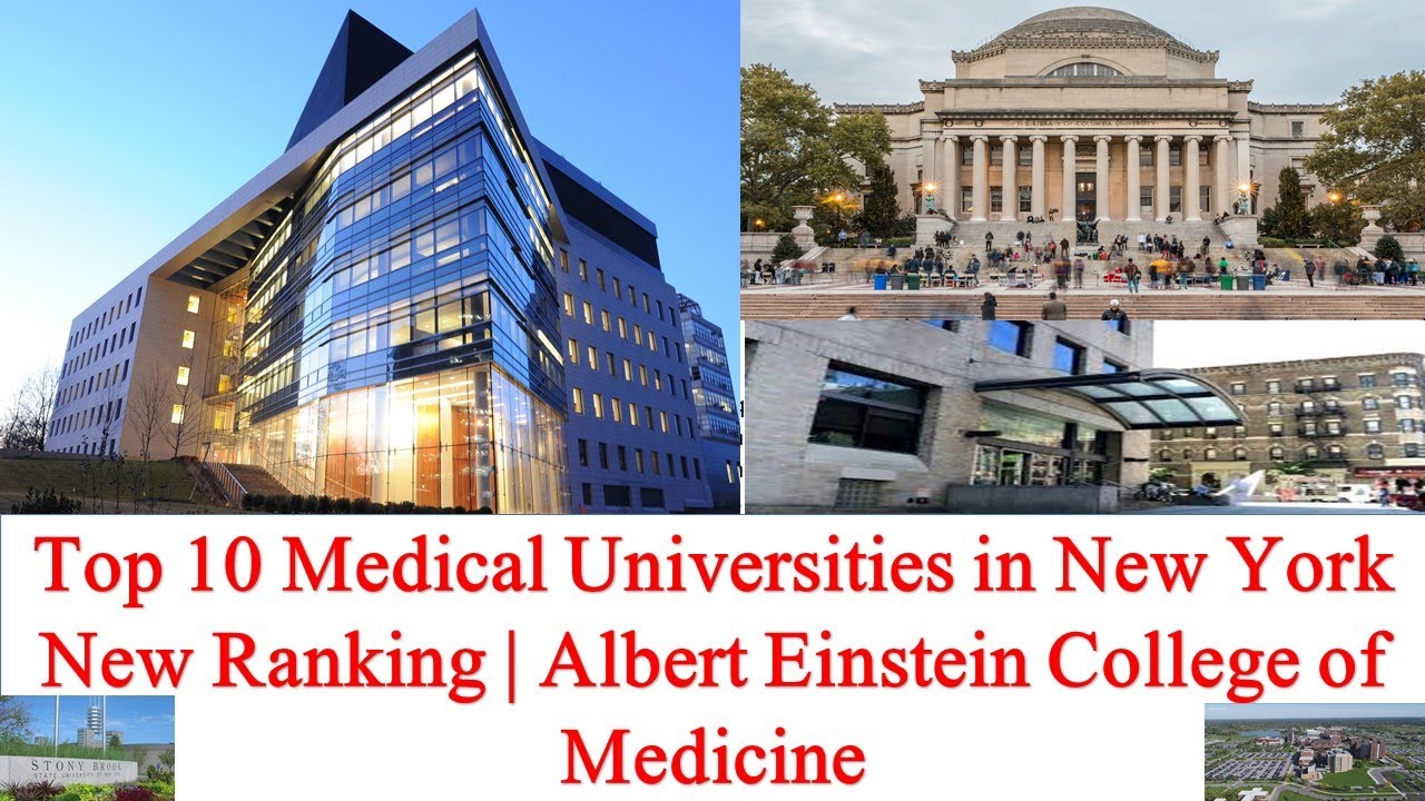 Top 10 Medical Universities In New York New Ranking Albert Einstein