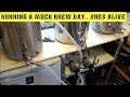 Ss BrewTech Brewery Run Through Test