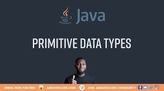 Primitive Data Types