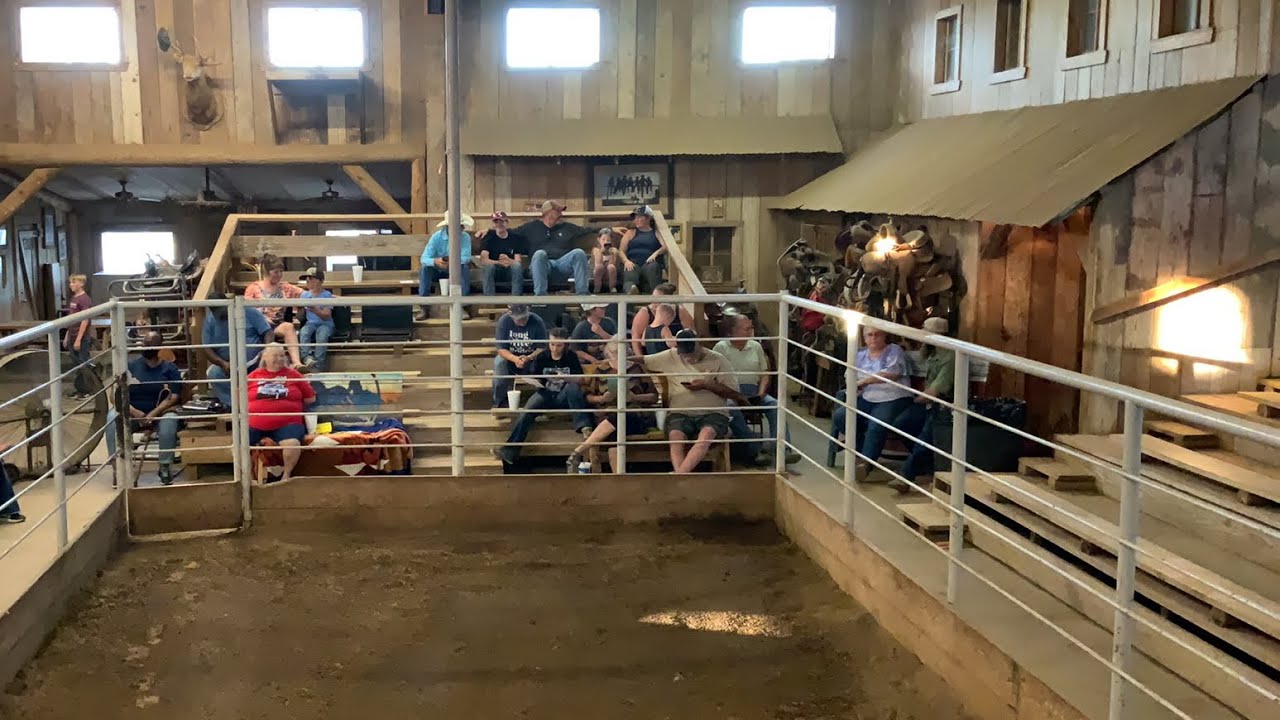 Horse Sale 72322 YouTube