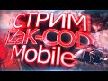 КСАТОМКИ С ПОДПИСЧИКАМИ В КБ CALL OF DUTY MOBILE | COD MOBILE - СТРИМ НА ТЕЛЕФОНЕ IPHONE XS Max