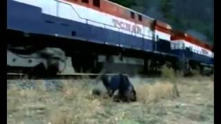 Atomic Train Music Video