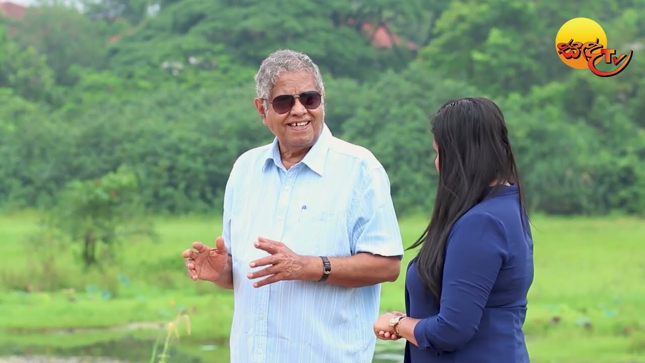 සී හෙළ අස්වනු | සොබාදහම් ගොවිපොළ - ඇලහැර | Episode 05