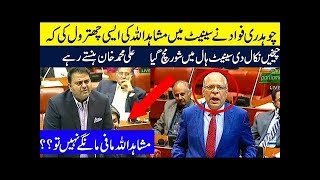 Fawad Chaudhry Bashaing On Mushahid Ullah Kaan In Senate 15 November 2018