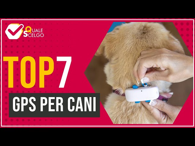 Localizzatore GPS per cani: solo 29€ per non perdere mai il tuo Fido! -  Melablog