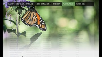 Building Your Plant List with the Natural Capital Plant Database