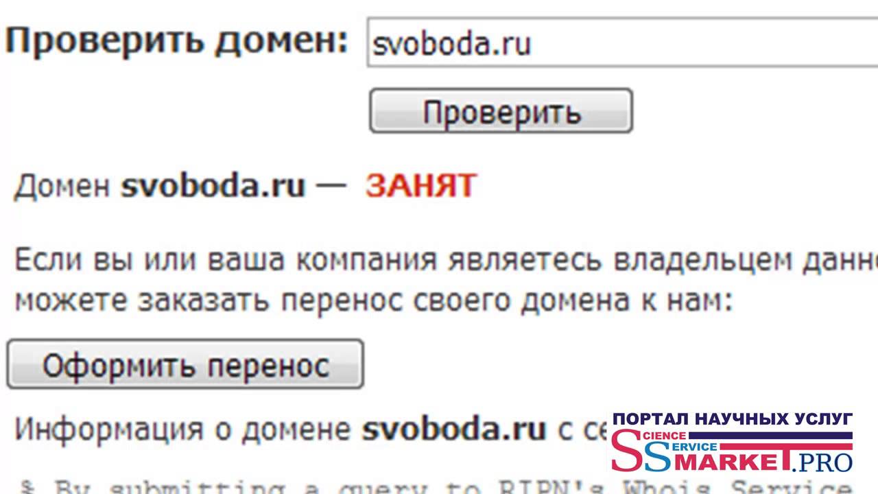 Проверка свободных. Проверить домен. Проверка домена. Информация о домене. Узнать свободен ли домен.