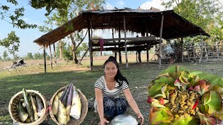 หมกหน่อไม้กินกับใบตูบหมูบ ໝົກໜໍ່ໄມ້ກິນກັບໃບຕູບໝູບ