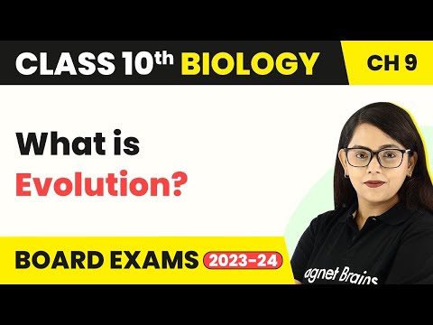 What Is Evolution Definition Biology