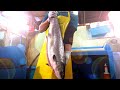 통연어 손질로 생선회만들기 / Trimming salmon to make delicious dishes / Korean street food