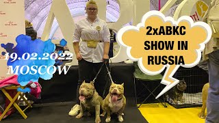 2 x ABKC SHOW IN RUSSIA 19.02.2022 или как беларуские буллочки покоряли Москву