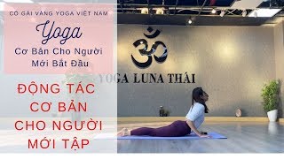 NHỮNG ĐỘNG TÁC YOGA CƠ BẢN CHO NGƯỜI MỚI BẮT ĐẦU | YOGA LUNA THÁI