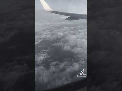 حاله واتس احمد عامر هم الكلمتين
