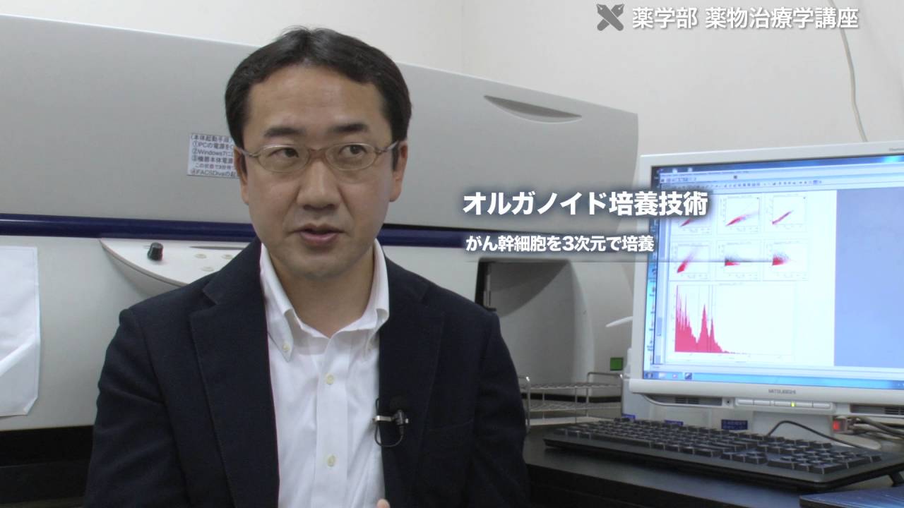 薬物治療学講座 | 研究室紹介 | 薬学部／大学院薬学研究科 | 慶應義塾大学
