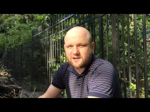 ვიდეო პორტრეტი - მხატვარ-გრაფიკოსი