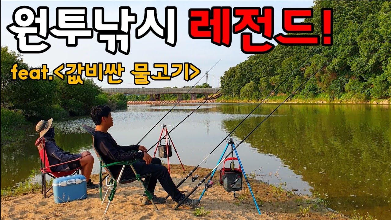 민물 원투낚시 말도 안되는 녀석을 잡다! 60cm대물까지 최고급 값비싼 귀한 녀석을 잡다 구독자와 함께하는 자급자족