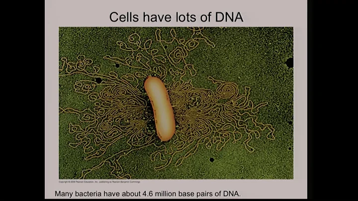 Lyle Simmons - Safeguarding the Genome - 10/29/16
