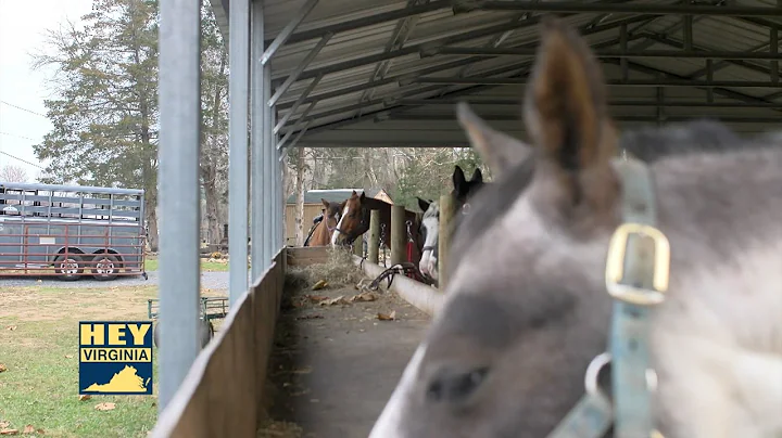 Hey Virginia: Jordan Hollow Stables