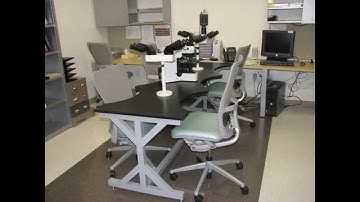 Custom Microscope Tables
