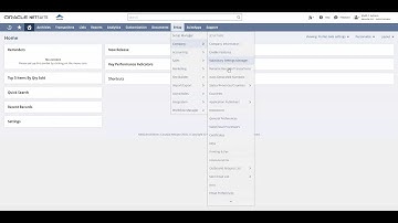 View NetSuite License Usage