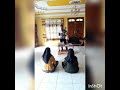 Praktek Mikroteaching materi Teks Biografi