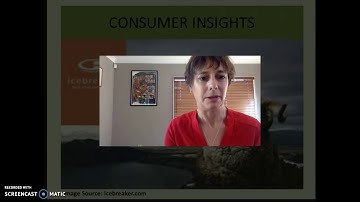 MKT 220 Consumer Insights Presentation