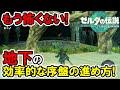 【ティアキン】絶対見て!地下の効率的な序盤の進め方!【ゼルダの伝説】