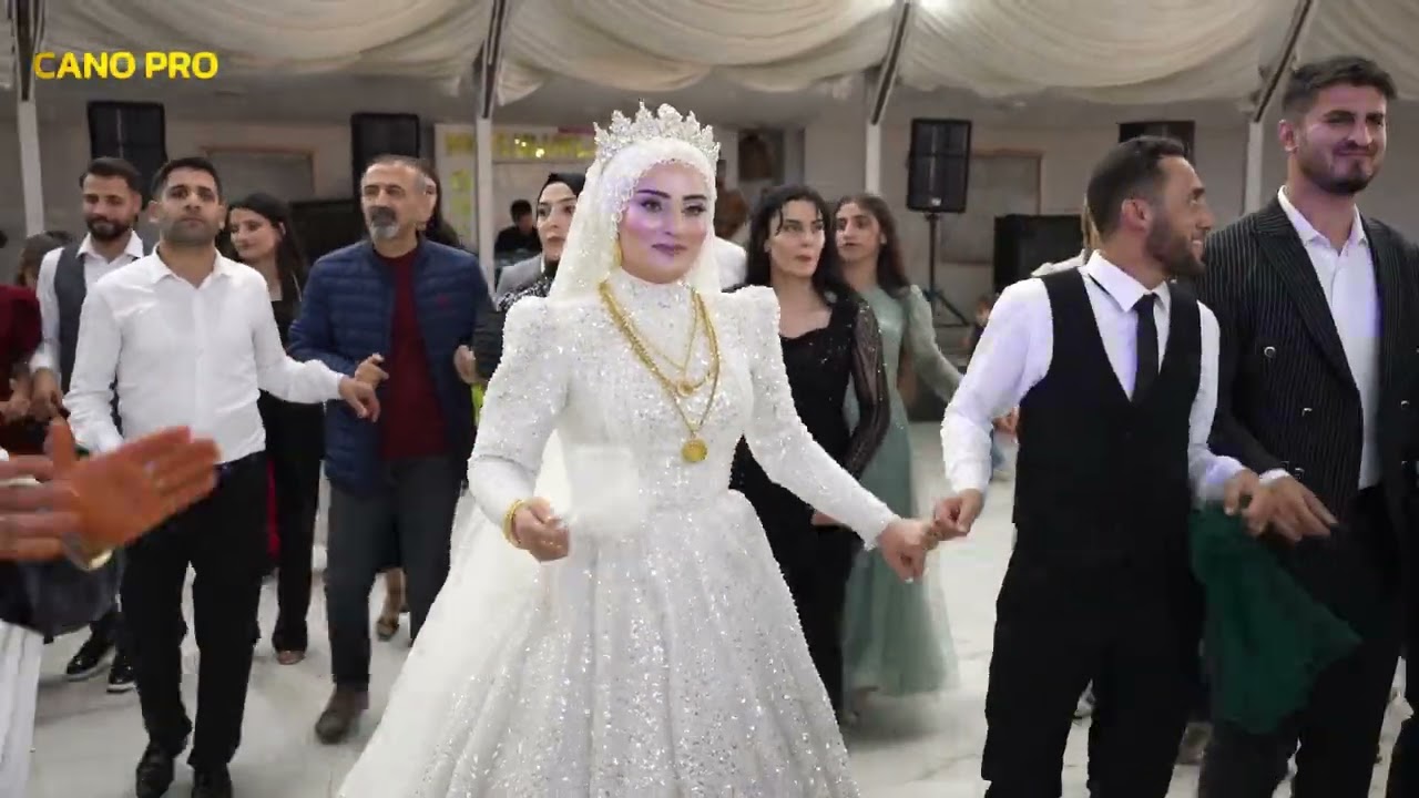 hediye & mazlum düğün 4 mazıdağı düğünleri cano pro feysele deriki studyo cano