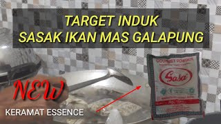 RAHASIA CARA MEMBUAT UMPAN TARGET INDUK SASAK IKAN MAS GALAPUNG