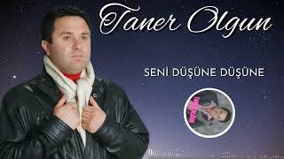 Taner Olgun - Seni Düşüne Düşüne Resimi