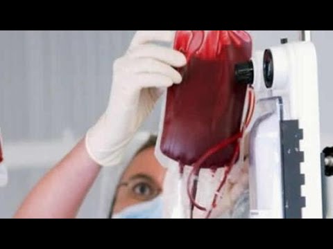 ما لون دم الانسان النقي