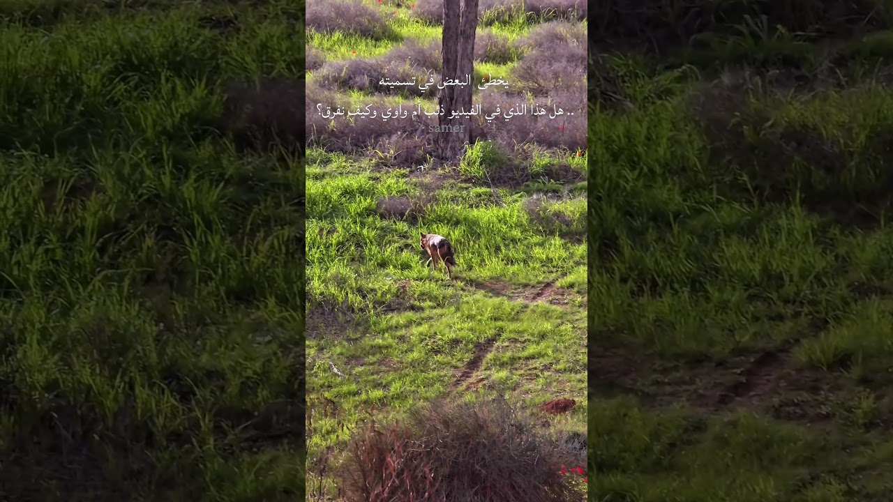 تصويري اليوم اقرا التعليق الاول ففيه الجواب. 