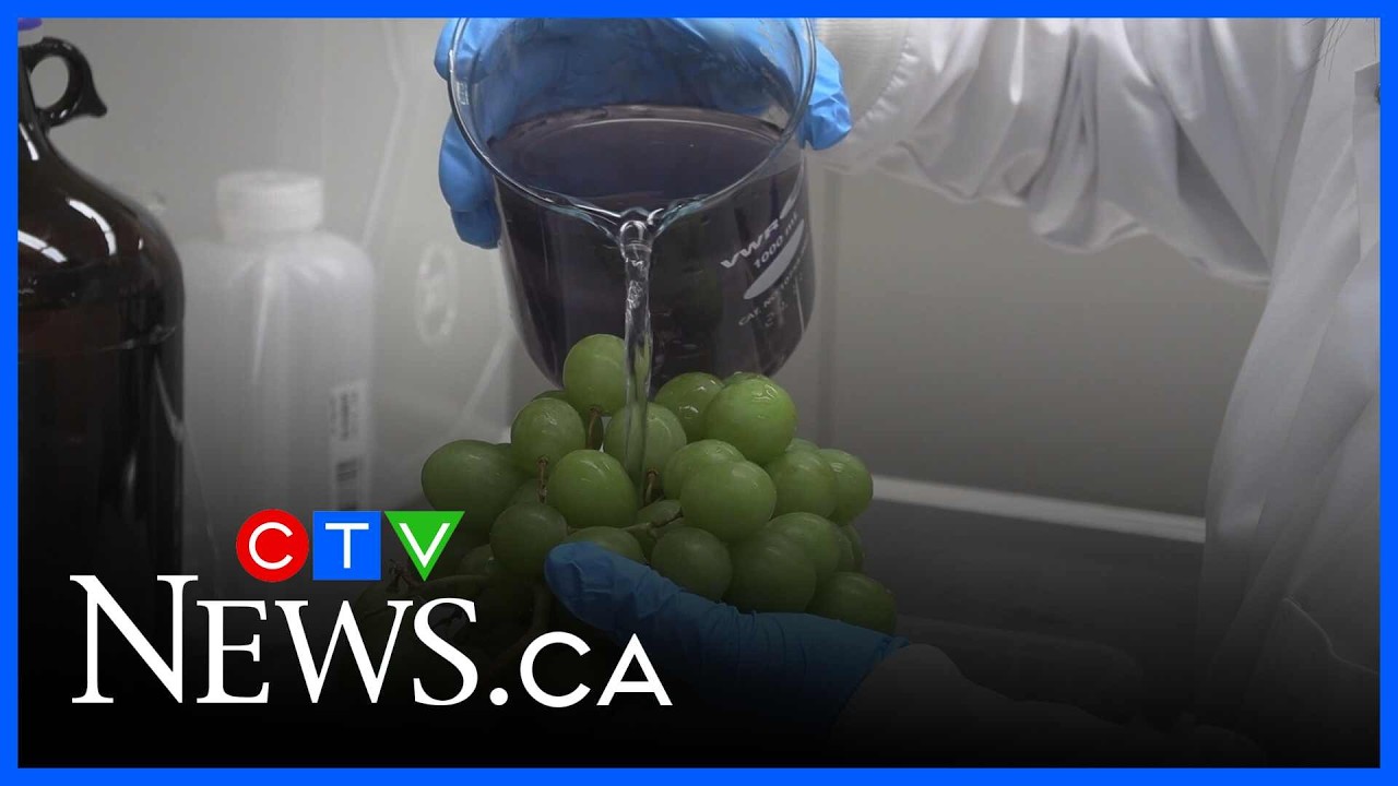 New way to keep fruit fresh longer - YouTube