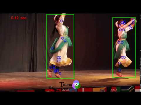 Human pose estimation high accuracy light weight model