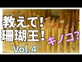 サンゴ研磨と貴金属加工、両方の技術をいいとこ取り【教えて！珊瑚王！Vol.4】本場高知へ。/ポンデュプレジール