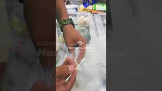 How to Clean cat's ears طريقة تنظيف اذن القطة Vet Mustafa Jabbar د. مصطفى جبار