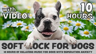 SCIENTIFICALLY PROVEN: 10 Hours of calming Soft Rock for dogs with separation anxiety, with video
