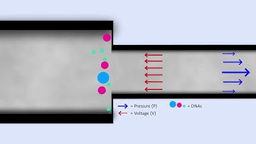 µLAS DNA fragment analysis technology by ADELIS