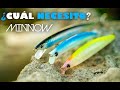 Cómo ELEGIR SEÑUELO de PESCA SPINNING [Minnow]