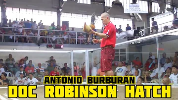 Doc Robinson Hatch - Golden Dragon Gamefarm 888 - Antonio Burburan - Bacolod Philippines