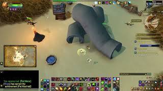 WoW 20th Anniversary Event | Pet Mischief and Zoomies! Achievement - The War Within