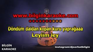 Zülfü Livaneli - Leylim Ley (Karaoke) Orjinal Stüdyo Resimi
